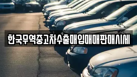 경북 포항시 남구 장기면 중고차 전문 한국무역중고차수출매입매매판매시세