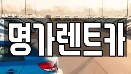 경북 포항시 북구 덕수동 렌트카 전문 명가렌트카