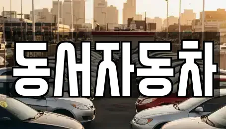 경북 포항시 북구 덕수동 중고차 전문 동서자동차