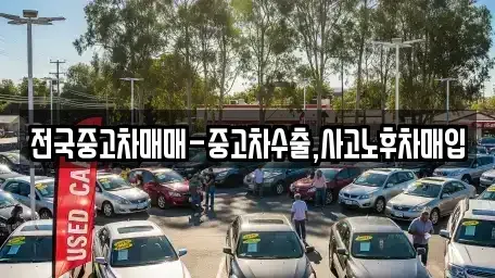 경북 포항시 북구 덕수동 중고차 전문 전국중고차매매-중고차수출,사고노후차매입