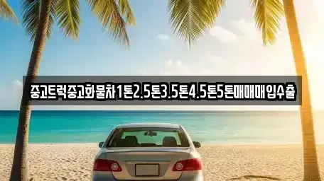 경북 포항시 북구 덕수동 중고차 전문 중고트럭중고화물차1톤2.5톤3.5톤4.5톤5톤매매매입수출