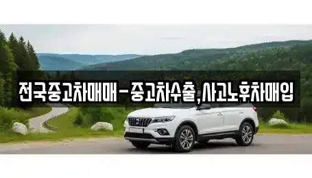 경북 포항시 북구 여천동 장기렌트카,중고차,렌트카,단기렌트카,중고차매입,중고차매매