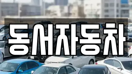 경상남도 거제시 상동동 중고차매매 전문 동서자동차