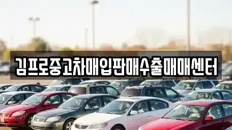 경상남도 거제시 상동동 중고차매입 전문 김프로중고차매입판매수출매매센터