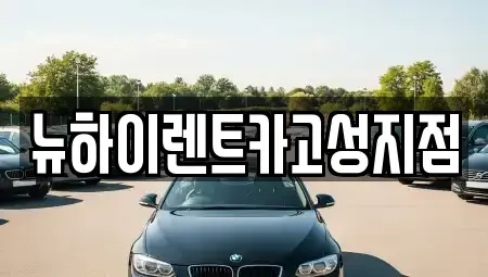 경상남도 고성군 고성읍 렌트카 전문 뉴하이렌트카고성지점