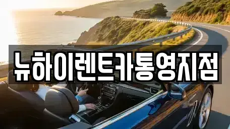 경상남도 고성군 고성읍 장기렌트카 전문 뉴하이렌트카통영지점