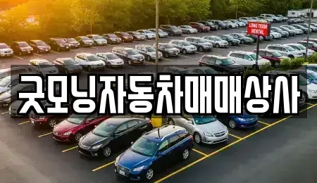 경상남도 고성군 고성읍 중고차매매 전문 굿모닝자동차매매상사