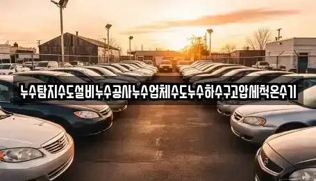 경상남도 고성군 구만면 중고차매입 전문 누수탐지수도설비누수공사누수업체수도누수하수구고압세척온수기