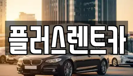 경상남도 김해시 어방동 렌트카 전문 플러스렌트카