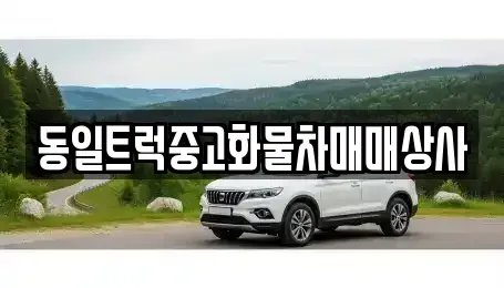 경상남도 김해시 어방동 중고차매매 전문 동일트럭중고화물차매매상사