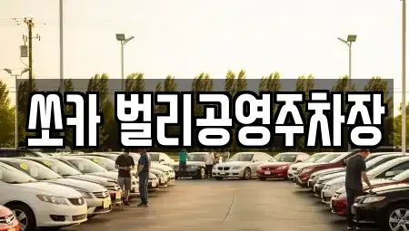 경상남도 사천시 향촌동 렌트카 전문 쏘카 벌리공영주차장