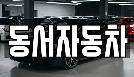 경상남도 사천시 향촌동 중고차 전문 동서자동차