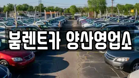 경상남도 양산시 남부동 렌트카 전문 붐렌트카 양산영업소
