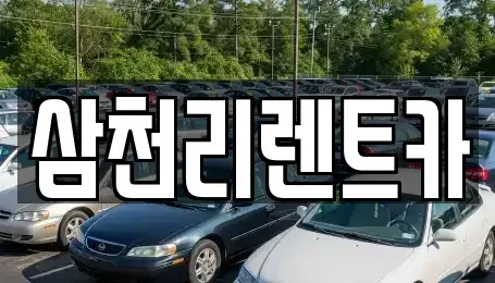 경상남도 양산시 남부동 렌트카 전문 삼천리렌트카