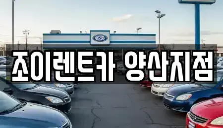 경상남도 양산시 남부동 렌트카 전문 조이렌트카 양산지점