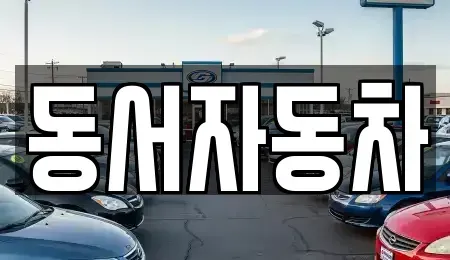 경상남도 양산시 남부동 중고차매매 전문 동서자동차