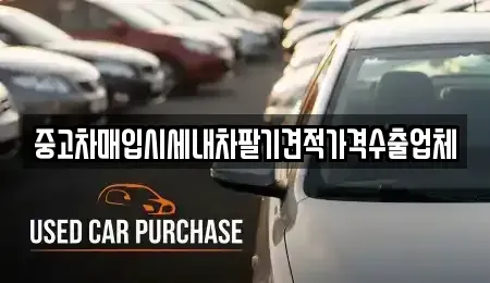 경상남도 양산시 남부동 중고차매매 전문 중고차매입시세내차팔기견적가격수출업체