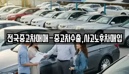 경상남도 양산시 남부동 중고차매입 전문 전국중고차매매-중고차수출,사고노후차매입