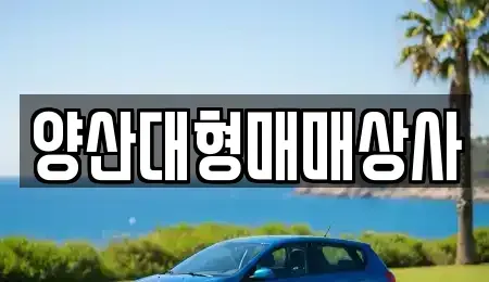 경상남도 양산시 원동면 중고차매매 전문 양산대형매매상사