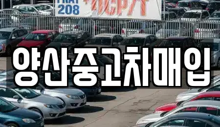경상남도 양산시 원동면 중고차매매 전문 양산중고차매입