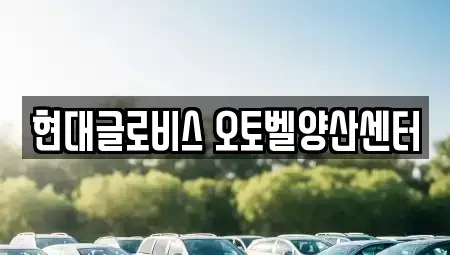 경상남도 양산시 원동면 중고차매매 전문 현대글로비스 오토벨양산센터