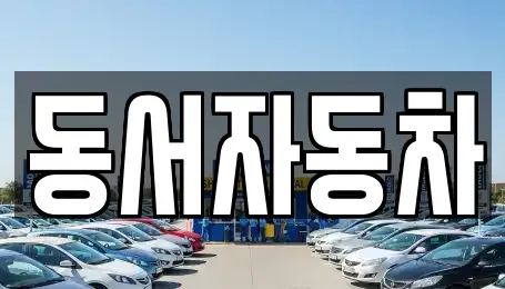 경상남도 창원시 마산합포구 진동면 중고차 전문 동서자동차