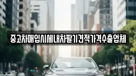 경상남도 창원시 마산회원구 중고차매입 전문 중고차매입시세내차팔기견적가격수출업체