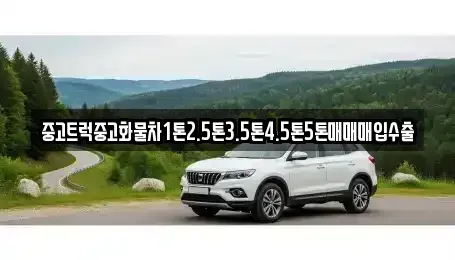 경상남도 창원시 성산구 귀곡동 중고차 전문 중고트럭중고화물차1톤2.5톤3.5톤4.5톤5톤매매매입수출