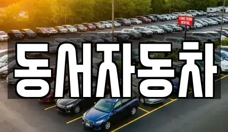 경상남도 창원시 성산구 용호동 중고차 전문 동서자동차