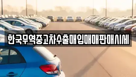 경상남도 창원시 성산구 용호동 중고차매입 전문 한국무역중고차수출매입매매판매시세
