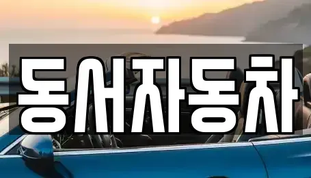 경상남도 창원시 의창구 사화동 중고차 전문 동서자동차