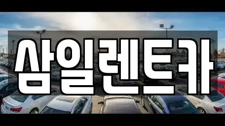 경상남도 창원시 진해구 가주동 렌트카 전문 삼일렌트카