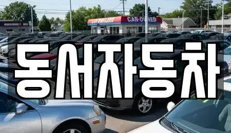 경상남도 창원시 진해구 가주동 중고차매매 전문 동서자동차