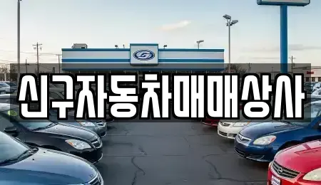 경상남도 창원시 진해구 대흥동 중고차매매 전문 신구자동차매매상사