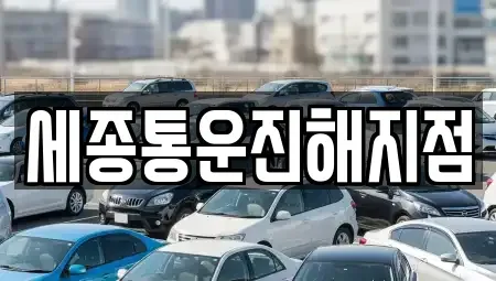 경상남도 창원시 진해구 성내동 렌트카 전문 세종통운진해지점