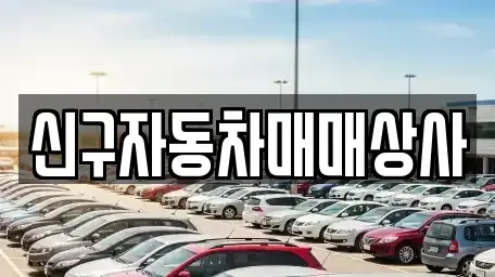 경상남도 창원시 진해구 죽곡동 중고차매매 전문 신구자동차매매상사
