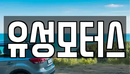 경상남도 함안군 칠북면 중고차 전문 유성모터스