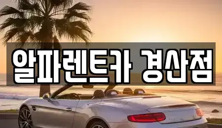 경상북도 경산시 옥곡동 렌트카 전문 알파렌트카 경산점