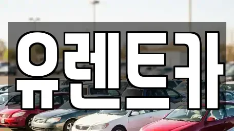 경상북도 경산시 옥곡동 렌트카 전문 유렌트카
