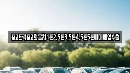 경상북도 경산시 옥곡동 중고차 전문 중고트럭중고화물차1톤2.5톤3.5톤4.5톤5톤매매매입수출