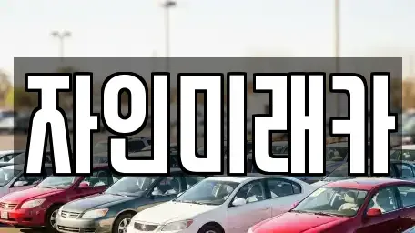 경상북도 경산시 자인면 중고차 전문 자인미래카