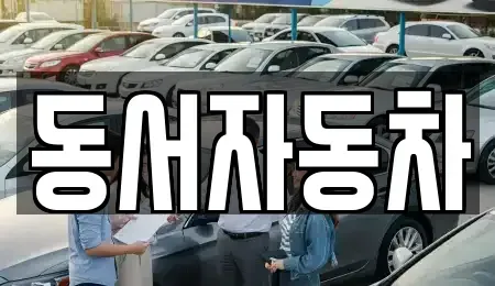 경상북도 경주시 동천동 중고차매매 전문 동서자동차