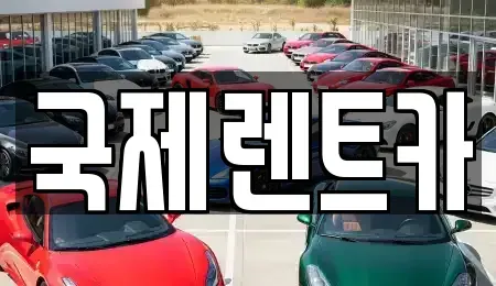 경상북도 구미시 거의동 렌트카 전문 국제렌트카
