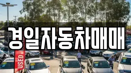 경상북도 구미시 거의동 중고차매매 전문 경일자동차매매