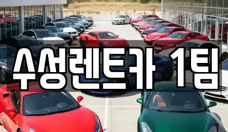 경상북도 구미시 양호동 렌트카 전문 수성렌트카 1팀