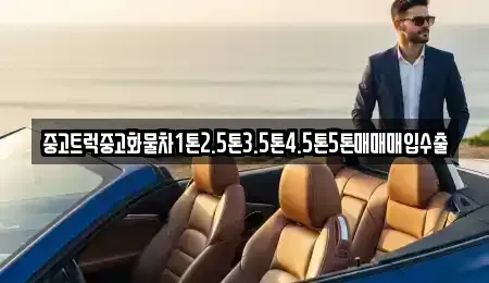 경상북도 구미시 양호동 중고차 전문 중고트럭중고화물차1톤2.5톤3.5톤4.5톤5톤매매매입수출