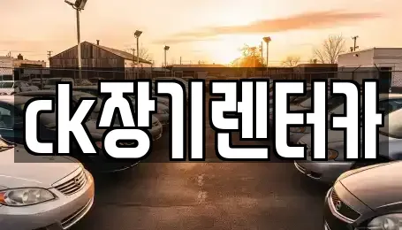 경상북도 김천시 부곡동 장기렌트카 전문 ck장기렌터카