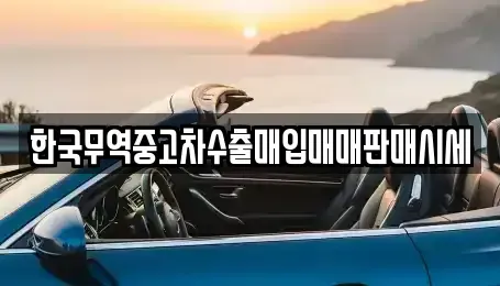 경상북도 김천시 부곡동 중고차매입 전문 한국무역중고차수출매입매매판매시세