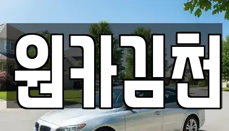 경상북도 김천시 신음동 렌트카 전문 원카김천