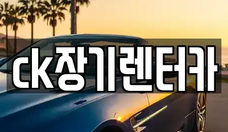 경상북도 김천시 신음동 장기렌트카 전문 ck장기렌터카